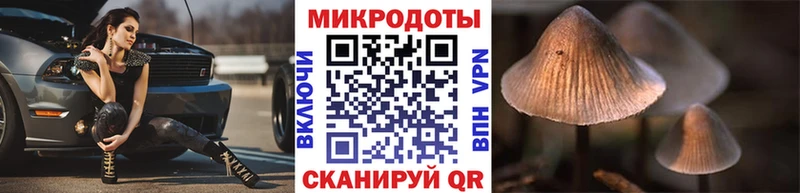 Купить где  Нелидово  Псилоцибиновые грибы Psilocybine cubensis 